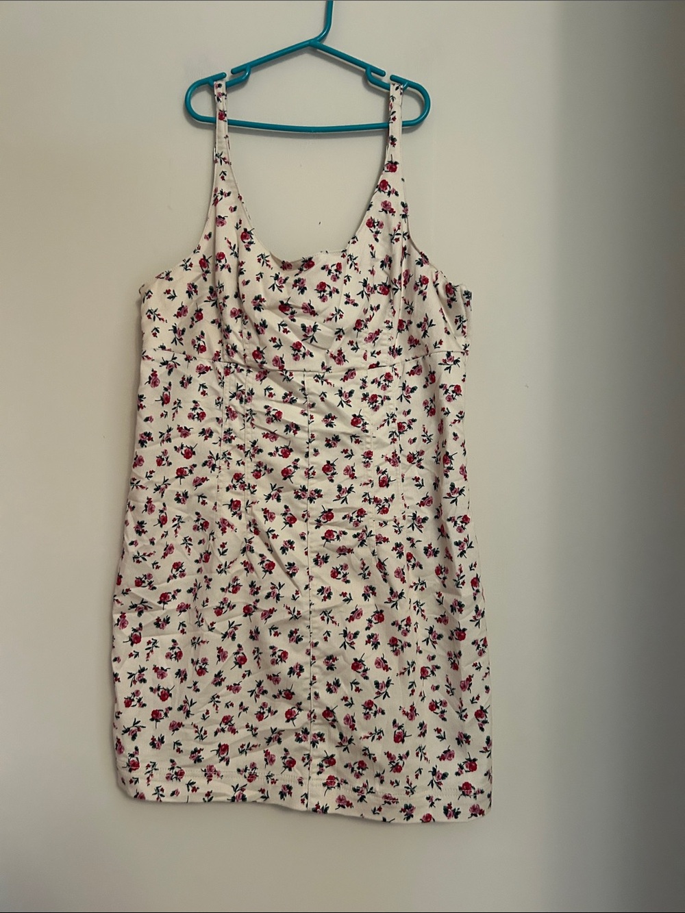 No Boundaries Cream Mini Dress with Red Floral Print size L(12-14) side zip